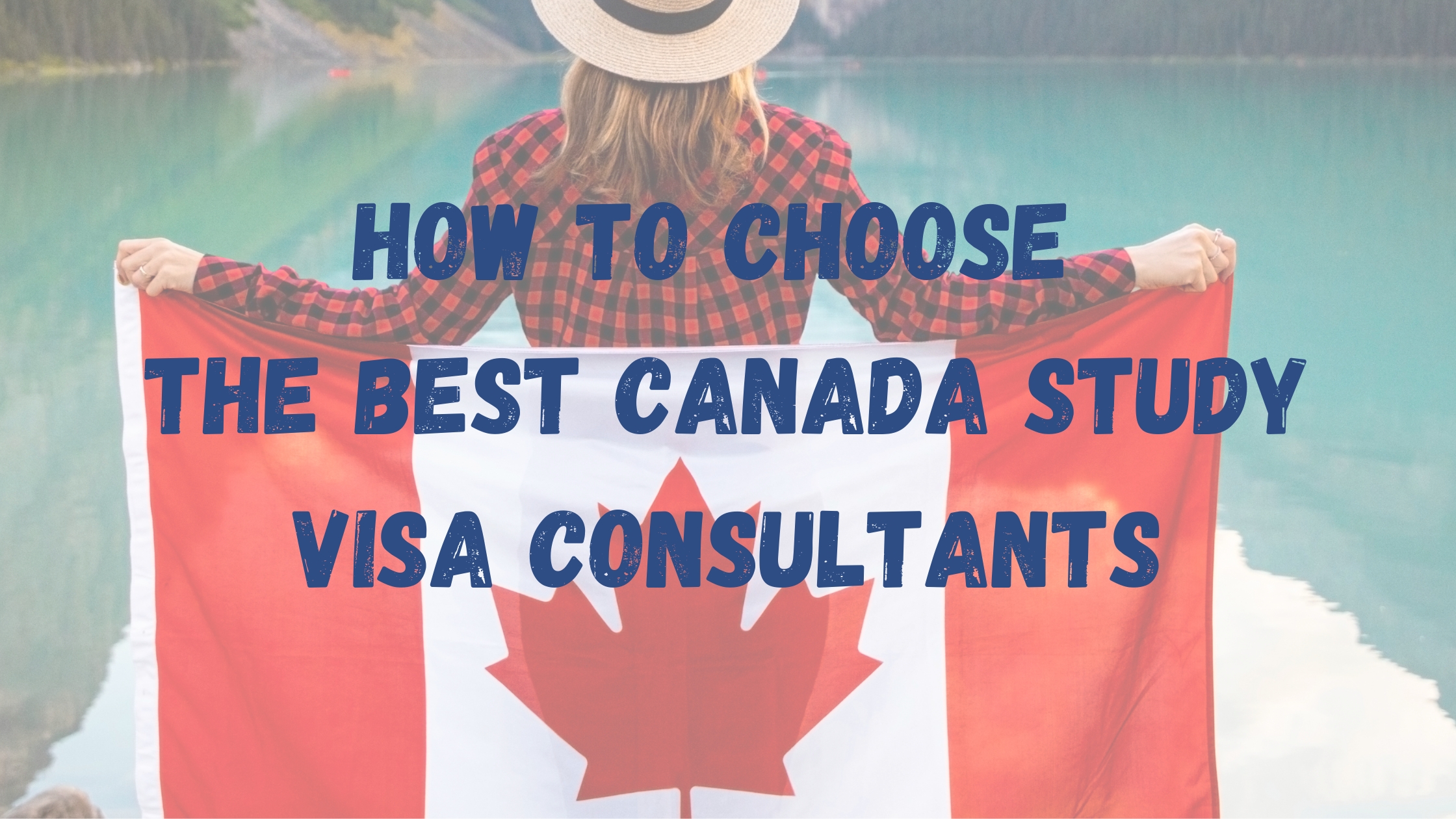 best canada immigration consultants in chandigarh