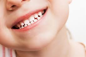 Children Adult Teeth