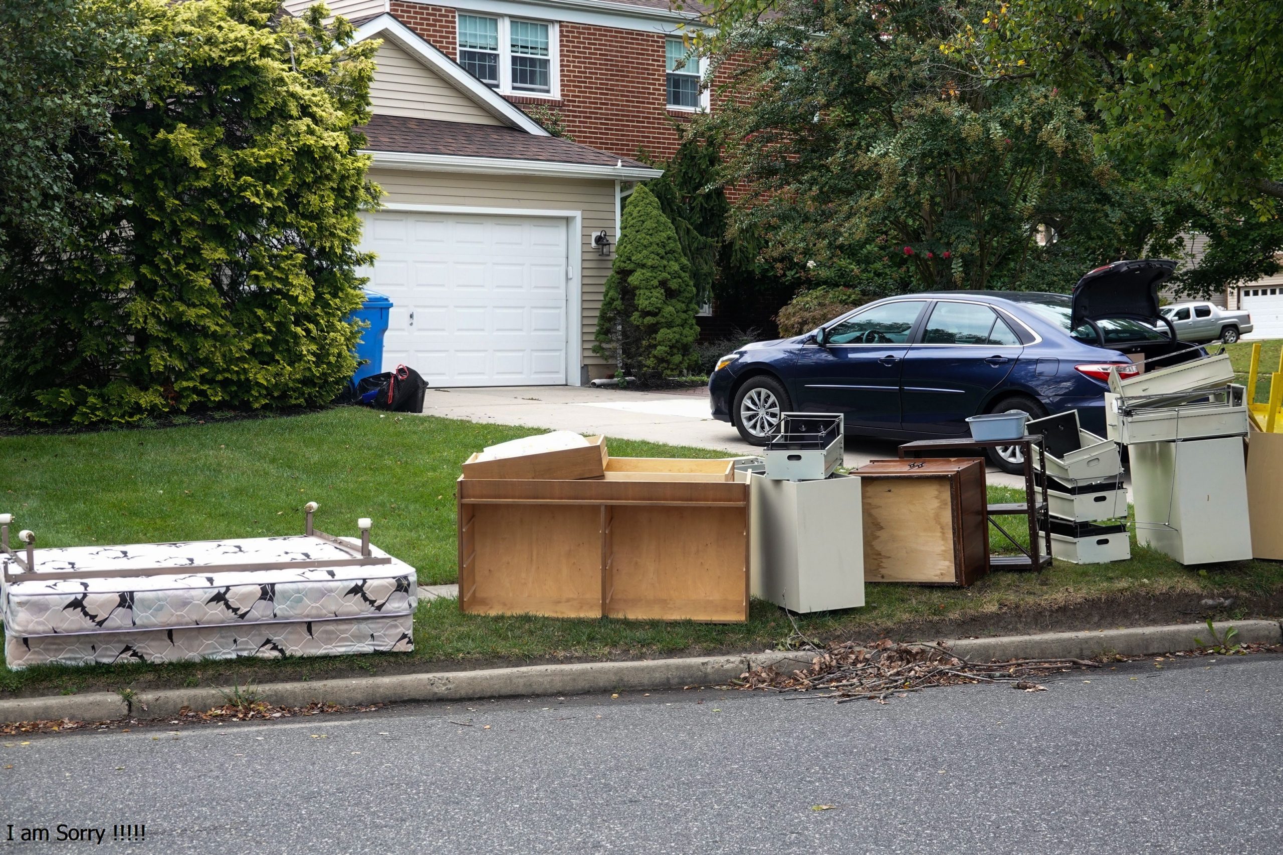 junk removal services