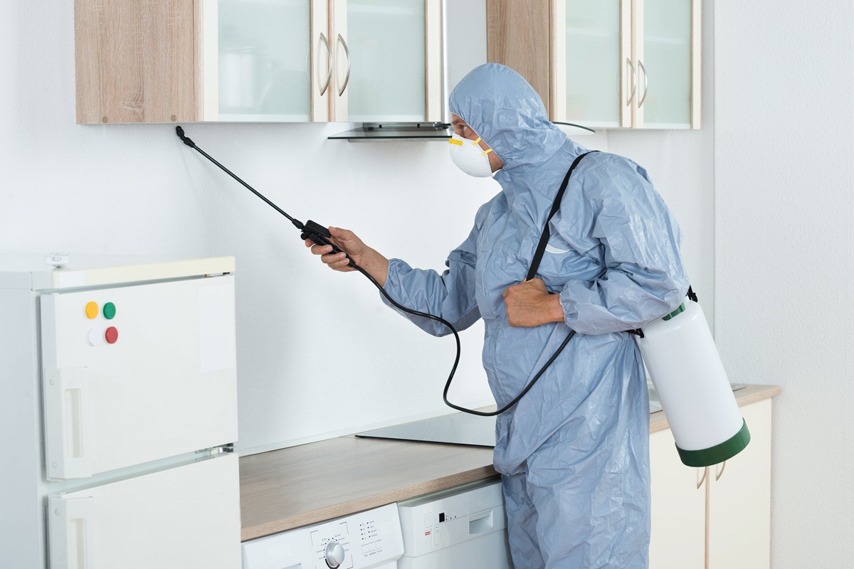 Effective Ways To Eliminate Fumigation Smells From Your Home