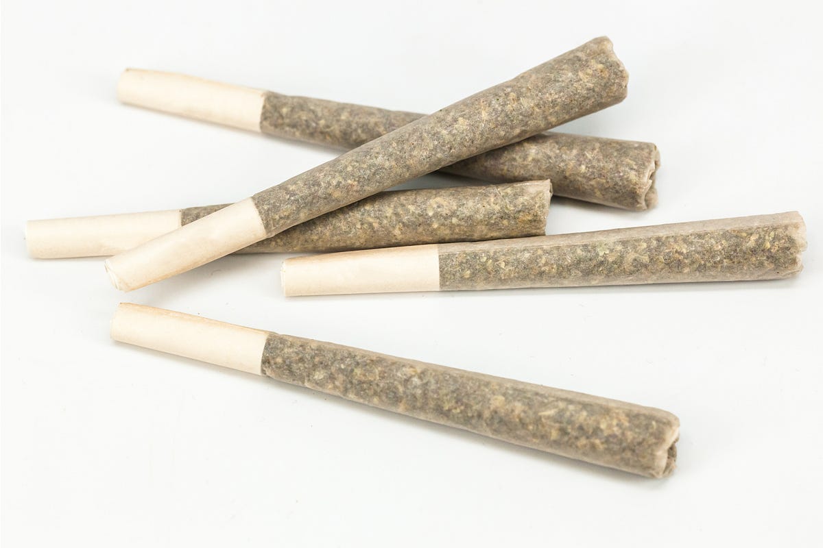 Exploring the Distinctions Between Pre-Rolls and Blunts