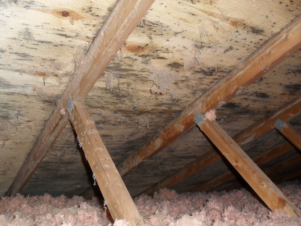 How To Eliminate Mold Odor In The Basement