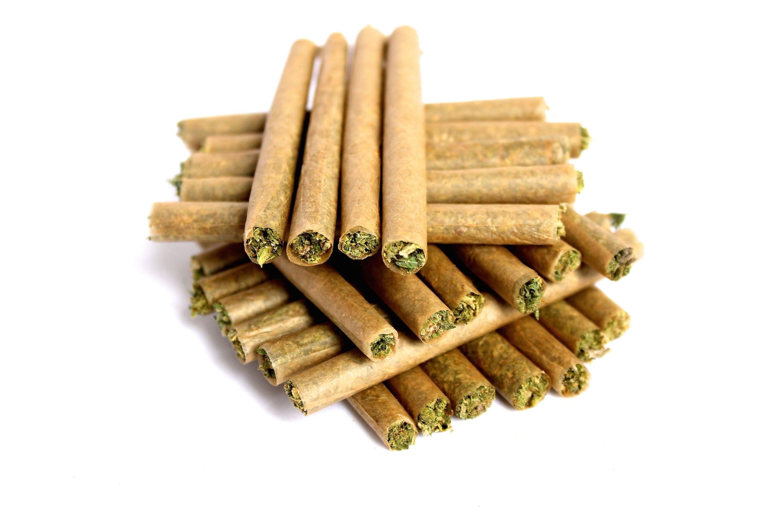 Key Differences Between Pre-Rolls and Blunts