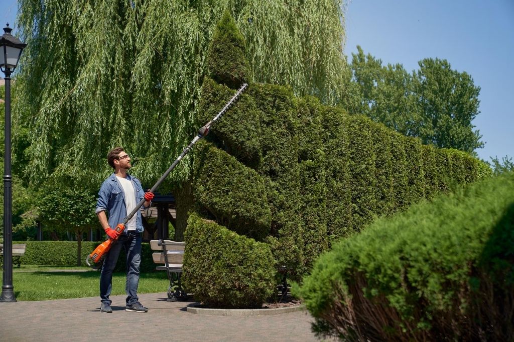 Tree Pruning