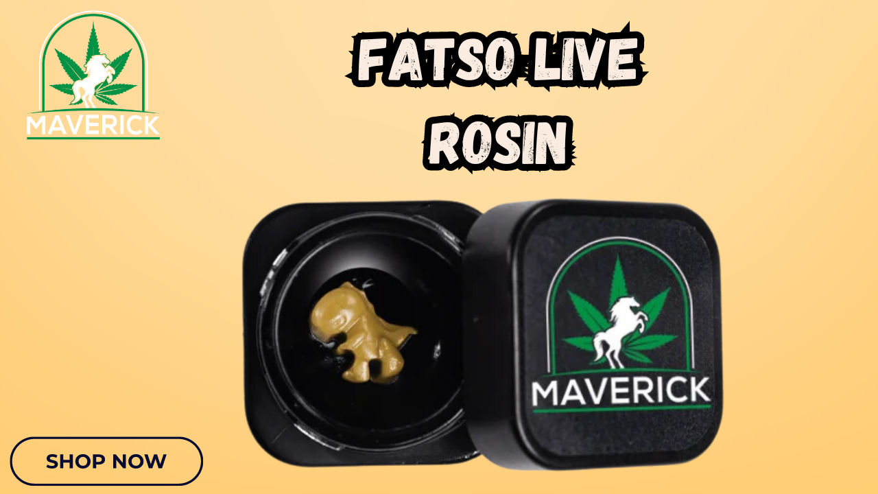 Fatso Live Rosin