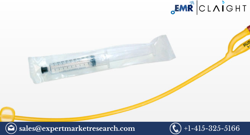 Balloon Catheters Market