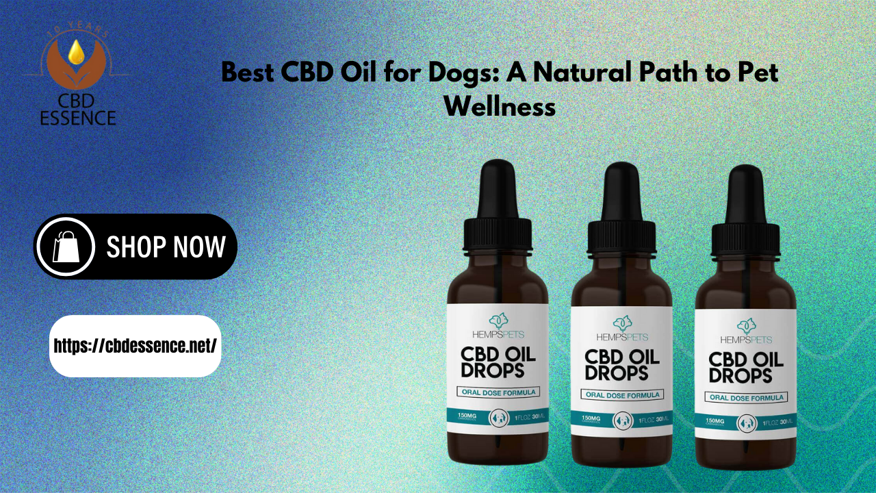 Best CBD Oil for Dogs