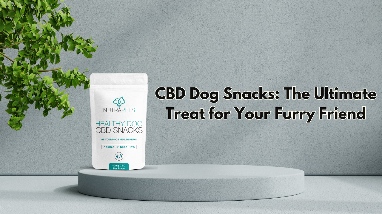 CBD Dog Snacks