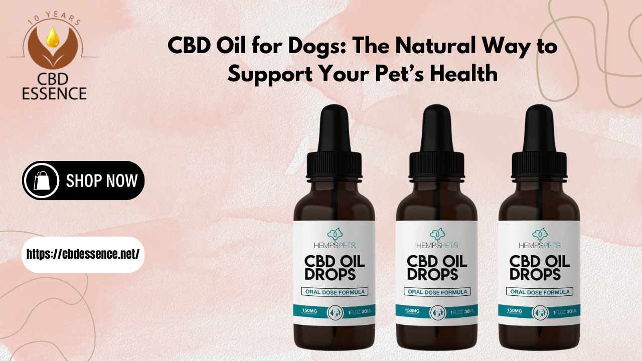 CBD Oil for Dogs