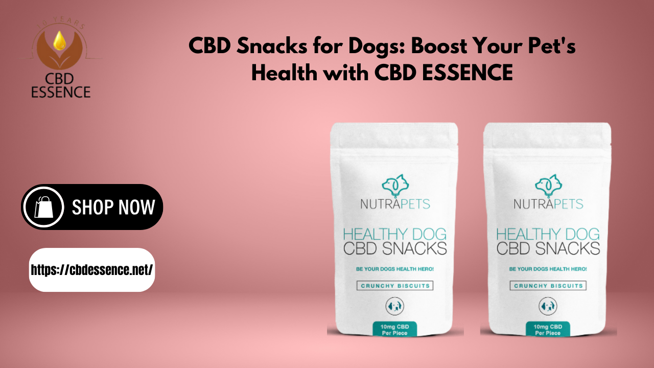 CBD Snacks for Dogs