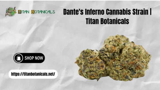 Dante's Inferno Cannabis Strain