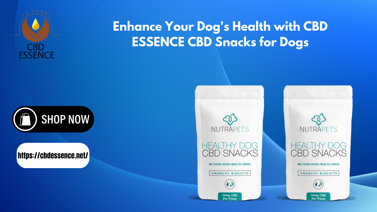 CBD Snacks for Dogs