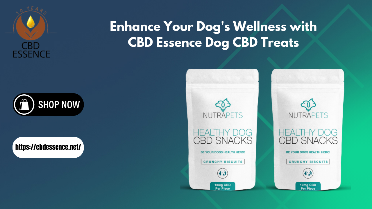 Dog CBD Treats