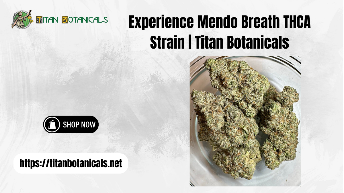 Mendo Breath THCA Strain