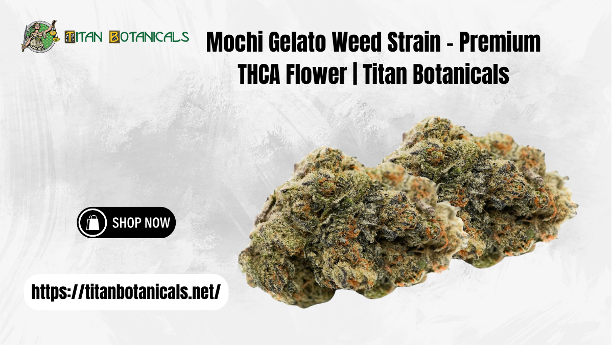 Mochi Gelato Weed Strai