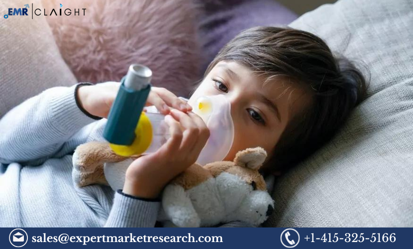 Nebulizer Market