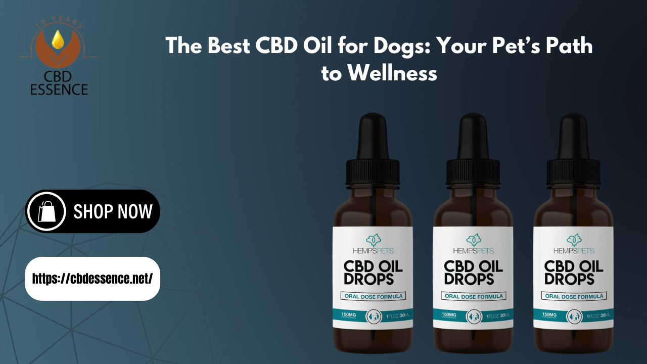 Best CBD Oil for Dogs