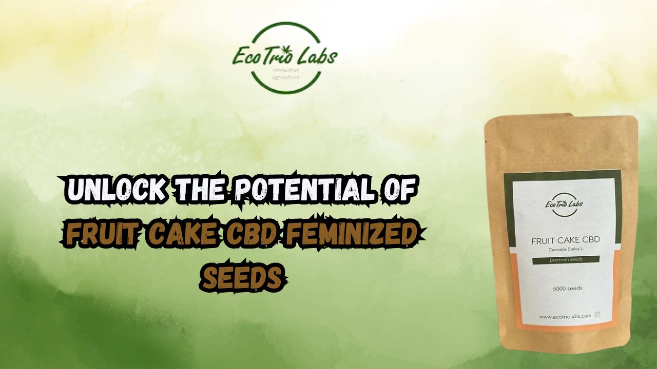 Buy Fruit Cake CBD feminized seeds