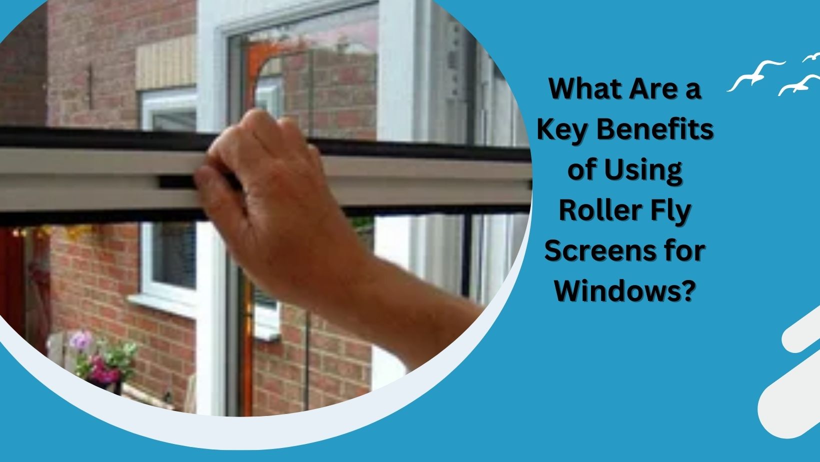 Roller Fly Screen for Windows