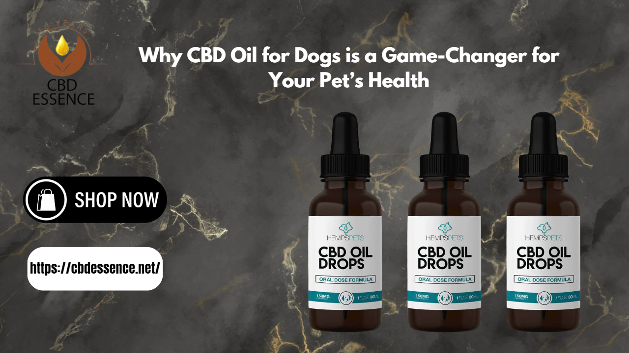 CBD Oil for Dogs