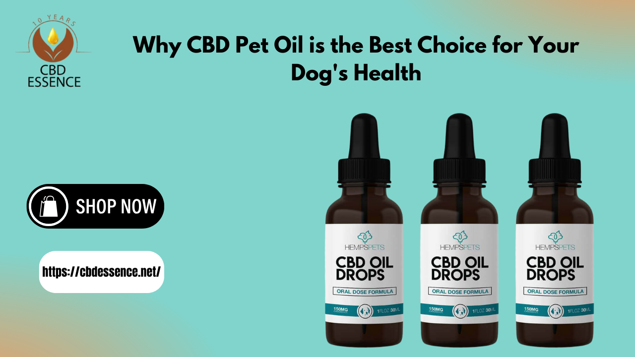 CBD Pet Oil Best