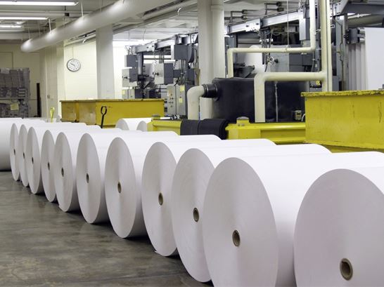 Thermal Paper Rolls